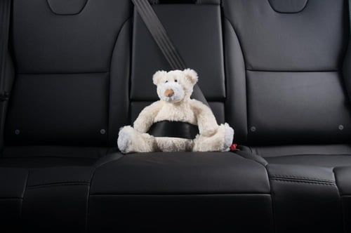 car seat bear